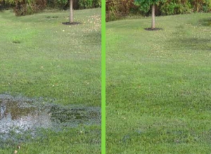 This leach field was cleaned and restored with SeptiBlast™
