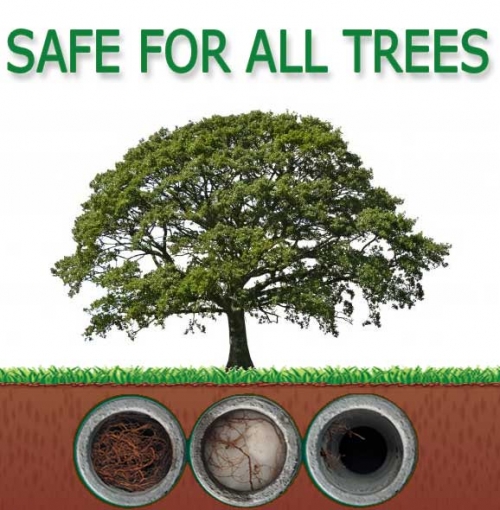 RootX is safe for all trees
