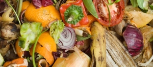 Bacteria eats septic system waste
